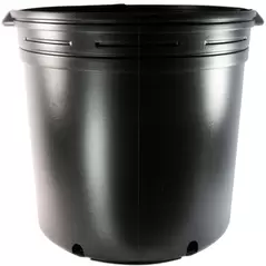 NS 4000BXL OLYMPIAN, TRADE SIZE 10 GALLON, 9.16 GALLON, BLACK 27/CS 16CS/TOWER (15-3/4"X15"), 10Gallon