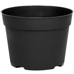 DLN 06.50 RND AZ TRAD T/W BLK 240/CS 48CS/PL