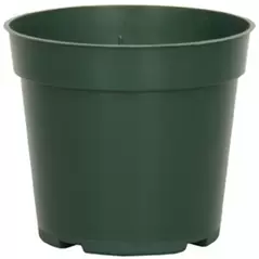 DLN 04.00 RND STD T/W 300GN 1550/CS 28CS/PL