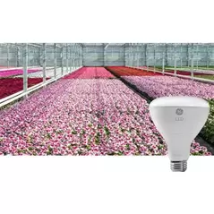 GE ARIZE GREENHOUSE PRO (FLOWERING LAMP) 93042116 - GEHB3010PKF12-1
