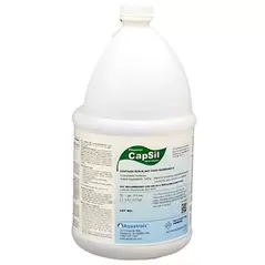 Aquatrols CapSil 1 Gl (4/Cs) (Brandt Super Wetter)