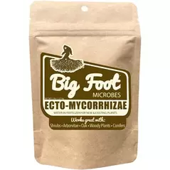 Big Foot 5