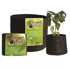 Smart Pot 400gal Black Bulk Box