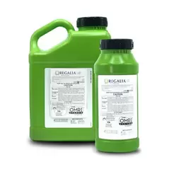 Regalia CG 2.5Gl (2/Cs) OMRI ( Reynoutria sachalinensis ) Biofungicide (Regalia PTO)
