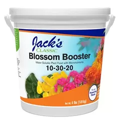 Jacks Classic 4