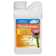 Monterey .5pt Thistledown