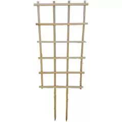 A&G 22"x40" Espalier
