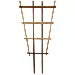 A&G 2'x4' Fan Espalier Trellis