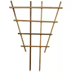 A&G 3'x4' Fan Espalier Trellis