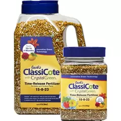 Jacks ClassicCote 2