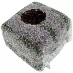 RIOCOCO 10cmx10cm Starter Block 275/CS