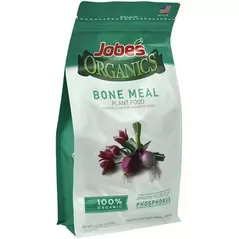 Jobes 4