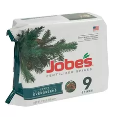 Jobes 9ct Evergreen Spikes