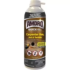 Amdro 18oz Quick Kill Carpenter Bee Foam