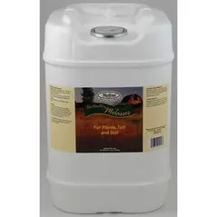 Medina 5gal Molasses