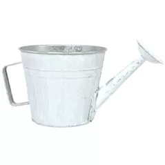 Grower Select 7.50 Watering Can Planter Acid Wash 12/CS