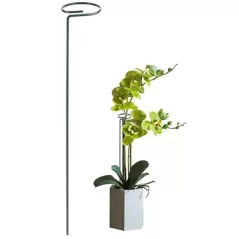 Gardener Select 2" Flower Support with 36" Leg Green