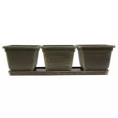 Grower Select 04.50 Randi-Lynn