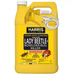 Harris 1gal Asian Lady Beetle & Box Elder RTU