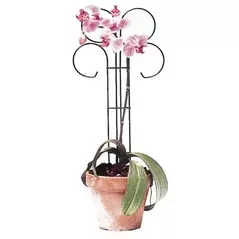 Bosmere Wren 24" Tall x 10" Wide Scroll Pot Trellis