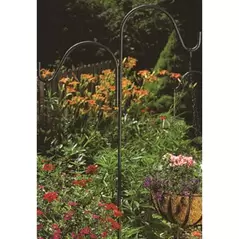 Panacea 84" Black Double Offset Hook
