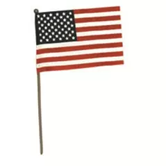 FlagZone 4"x6" US Hand Flag