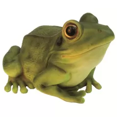 MCarr Frog