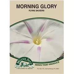 MORN GLORY-FLYING SAUC. 1.5 GM