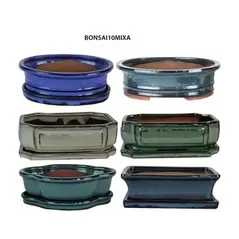 MCarr 6PC 10" Bonsai Planter Mixed Asst