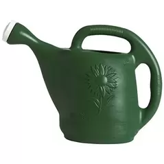 Classic 2gal Watering Can Hunter