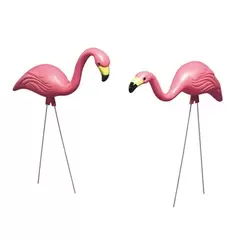 Bloem 2Pk Pink Flamingo