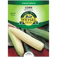 Corn, Silver Queen - 10 Gram