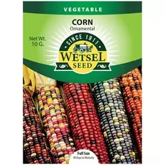 Corn, Ornamental - 10 Gram