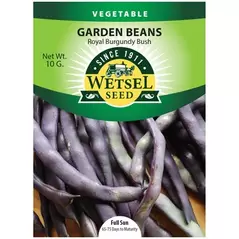 Beans, Royal Burgundy Bush - 10 Gram