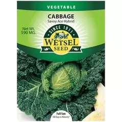 Cabbage, Savoy Ace Imp - 590 Mg
