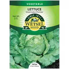 Lettuce, Great Lakes Premier - 2 Gram