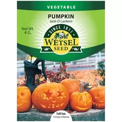Pumpkin, Jack-O Lantern - 4 Gram