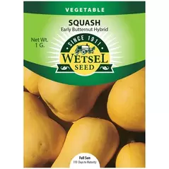 Squash, Early Butternut Hybrid - 1 Gram