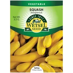 SQUASH, STRAIGHTNECK 3.5 G