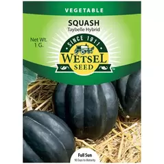 Squash, Taybelle Hybrid - 1 Gram