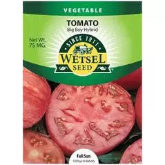 Tomato, Big Boy - 75 Mg