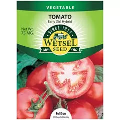 Tomato, Early Girl - 75 Mg