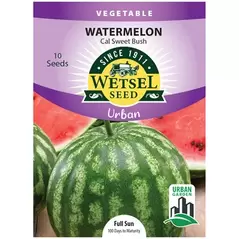 Watermelon, Cal Sweet Bush (Patio) 10 Seeds