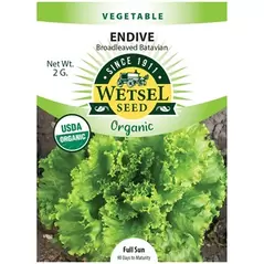Organic Batavian Endive - 2 Gram
