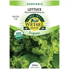 Organic Black Seed Simpson Lettuce - 2 Gram