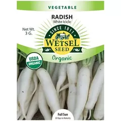 Organic White Icicle Radish - 3 Gram