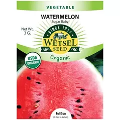 Organic Sugar Baby Watermelon - 3 Gram