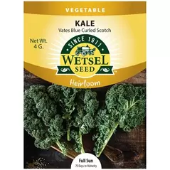Heirloom, Vates Blue Curled Kale 4gram