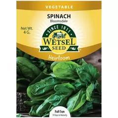 HEIRLOOM, BLOOMSDALE SPINACH 4 GRAM