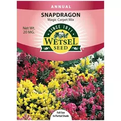 SNAPDRAGON, MAGIC CARPET PKT